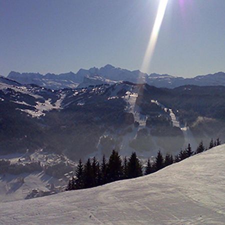 Les Gets Le Grand Paradis Buitenkant foto